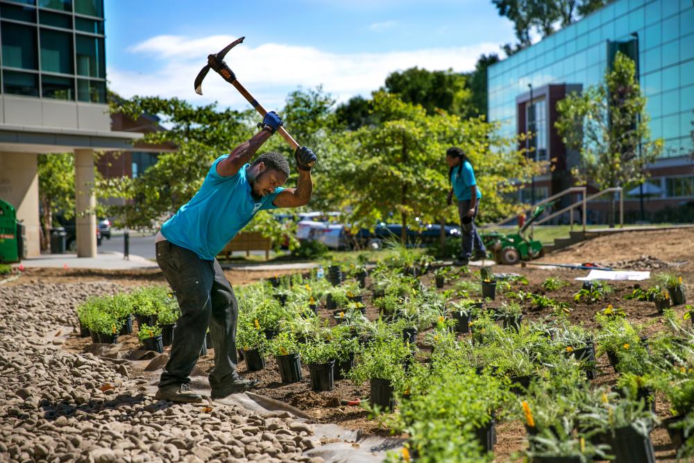 Man works on planting at a new greenspace near University of the Sciences